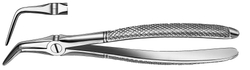 Boticao C.M. 145 Raizes/Fragmentos Inf.