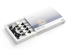 Synergy D6 Flow - Intro Kit