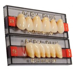 Dentes Acry Plus - Incisivos