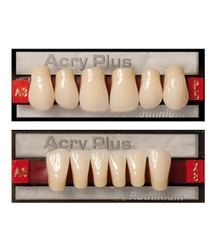 Dentes Acry Plus Vita - Incisivos