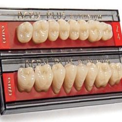 Dentes Acry Plus - Molares