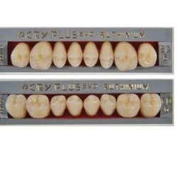 Dentes Acry Plus Vita Evo - Molares