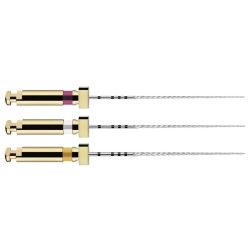 Pathfile Dentsply 21mm Nº 019 - Ct.6