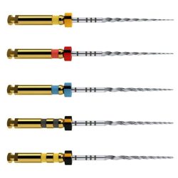 Protaper Next - Limas CA 21mm X1 Ct.6