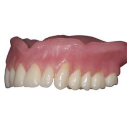 Pegasus Acr.Base - Po Emb.500g Clear