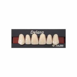 Dentes Delara - Incisivos Heraeus