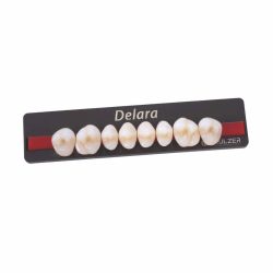 Dentes Delara - Molares Heraeus
