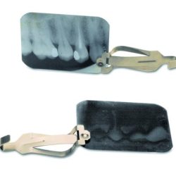 Pinça P/Peliculas Radiograficas Mestra