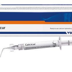 Calcicur - Hidrox.Calcio Seringa 2,5g