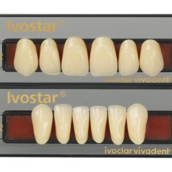 Ivostar A-D - Dentes Incisivos
