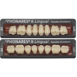SR Phonares II Lingual - Dentes Molares