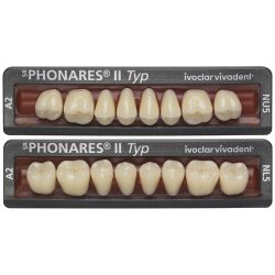 SR Phonares II Typ - Dentes Molares