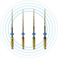 2Shape Mini Limas 31mm Procedure Pack Ct.4