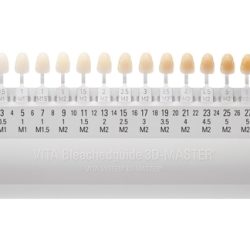 Vitapan 3D-Master Guia Cores Bleach